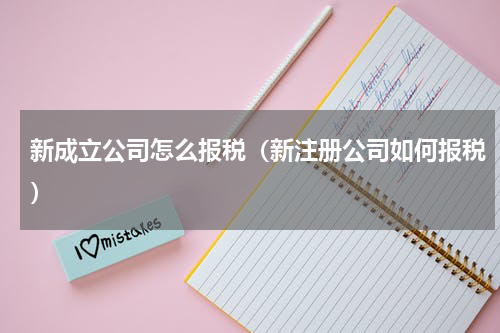 新成立公司怎么报税（新注册公司如何报税）