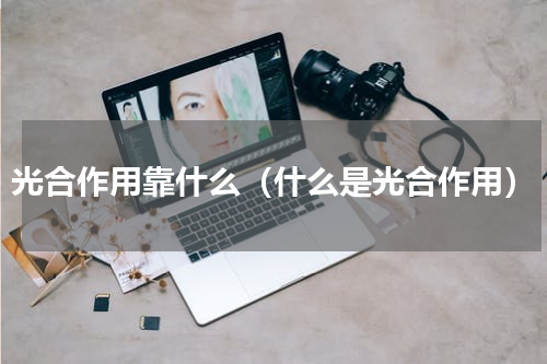 光合作用靠什么（什么是光合作用）