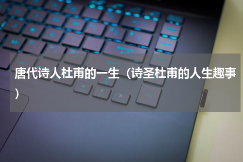 唐代诗人杜甫的一生（诗圣杜甫的人生趣事）