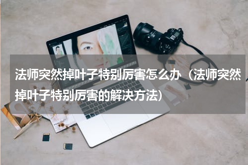 法师突然掉叶子特别厉害怎么办（法师突然掉叶子特别厉害的解决方法）