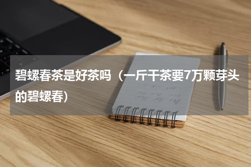 碧螺春茶是好茶吗（一斤干茶要7万颗芽头的碧螺春）