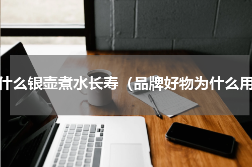 为什么银壶煮水长寿（品牌好物为什么用）