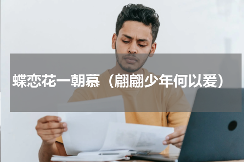 蝶恋花一朝慕（翩翩少年何以爱）