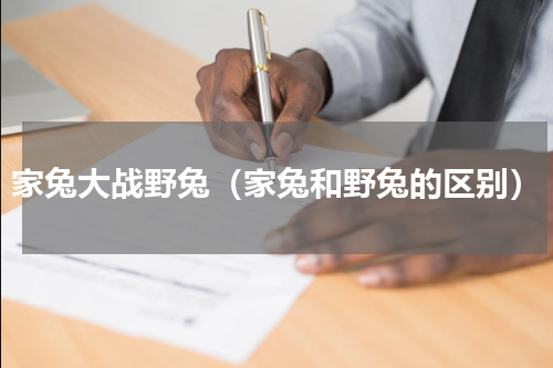 家兔大战野兔（家兔和野兔的区别）