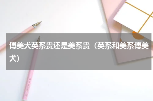 博美犬英系贵还是美系贵（英系和美系博美犬）