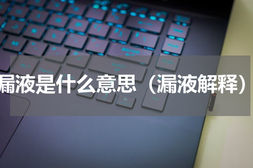 漏液是什么意思（漏液解释）