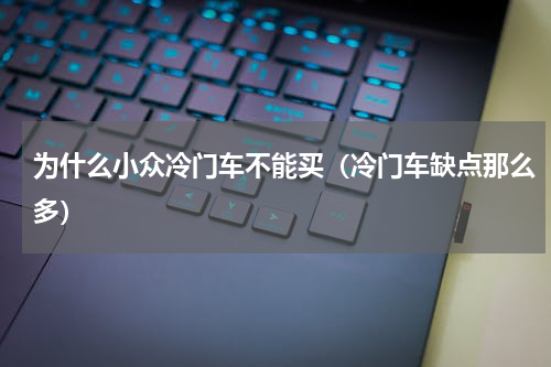 为什么小众冷门车不能买（冷门车缺点那么多）