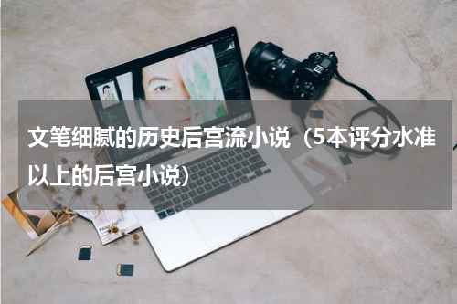 文笔细腻的历史后宫流小说（5本评分水准以上的后宫小说）