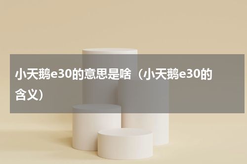 小天鹅e30的意思是啥（小天鹅e30的含义）