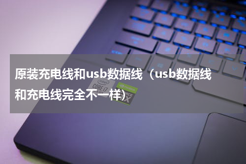 原装充电线和usb数据线（usb数据线和充电线完全不一样）