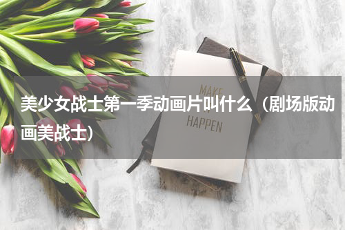 美少女战士第一季动画片叫什么（剧场版动画美战士）