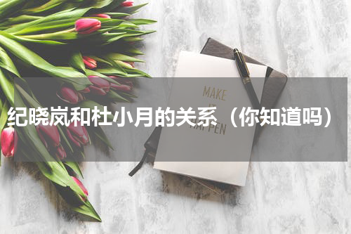 纪晓岚和杜小月的关系（你知道吗）