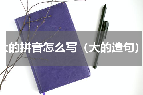 大的拼音怎么写（大的造句）