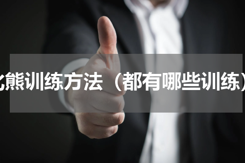 比熊训练方法（都有哪些训练）