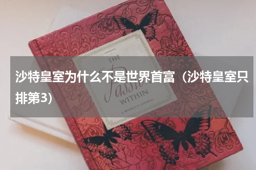 沙特皇室为什么不是世界首富（沙特皇室只排第3）