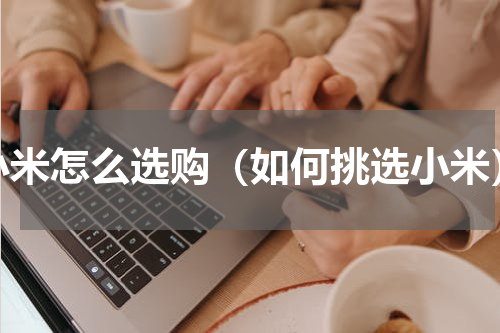 小米怎么选购（如何挑选小米）