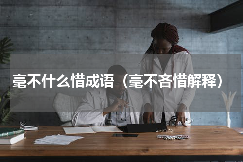 毫不什么惜成语（毫不吝惜解释）