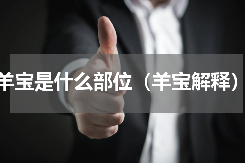 羊宝是什么部位（羊宝解释）