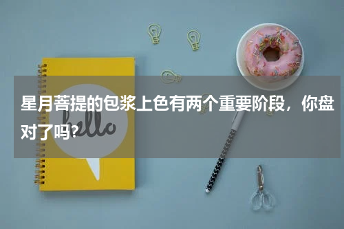 星月菩提的包浆上色有两个重要阶段，你盘对了吗？