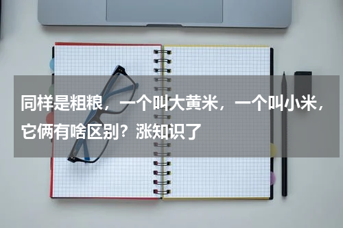 同样是粗粮，一个叫大黄米，一个叫小米，它俩有啥区别？涨知识了