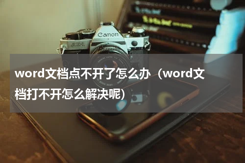 word文档点不开了怎么办（word文档打不开怎么解决呢）