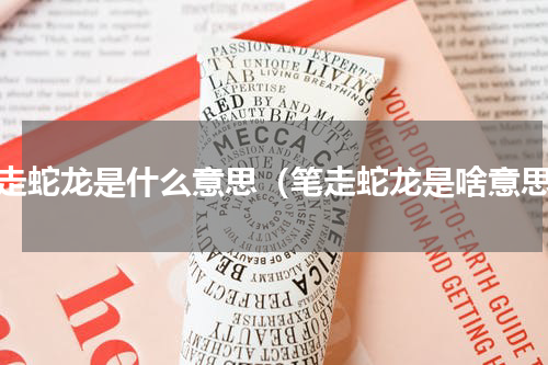 笔走蛇龙是什么意思（笔走蛇龙是啥意思）