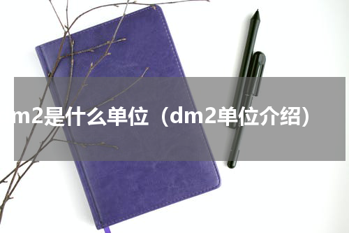 dm2是什么单位（dm2单位介绍）