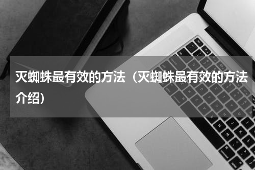 灭蜘蛛最有效的方法（灭蜘蛛最有效的方法介绍）