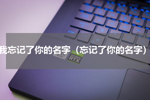 我忘记了你的名字（忘记了你的名字）