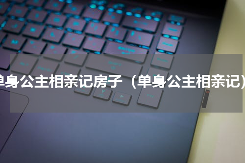单身公主相亲记房子（单身公主相亲记）