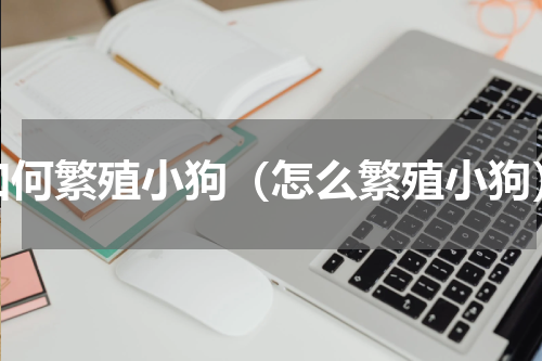 如何繁殖小狗（怎么繁殖小狗）