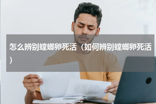 怎么辨别螳螂卵死活（如何辨别螳螂卵死活）