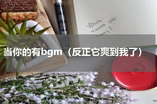 当你的有bgm（反正它爽到我了）