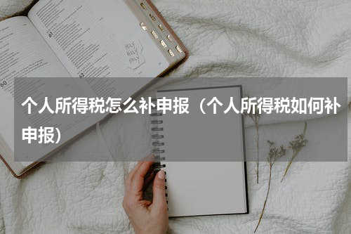 个人所得税怎么补申报（个人所得税如何补申报）