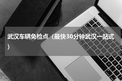 武汉车辆免检点（最快30分钟武汉一站式）