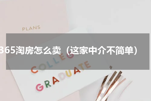365淘房怎么卖（这家中介不简单）