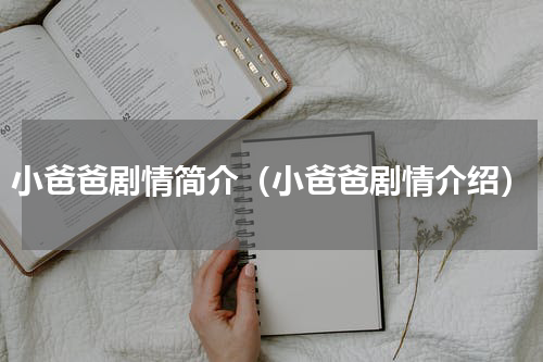 小爸爸剧情简介（小爸爸剧情介绍）