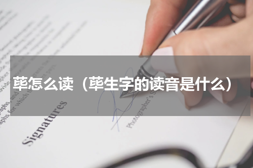 荜怎么读（荜生字的读音是什么）