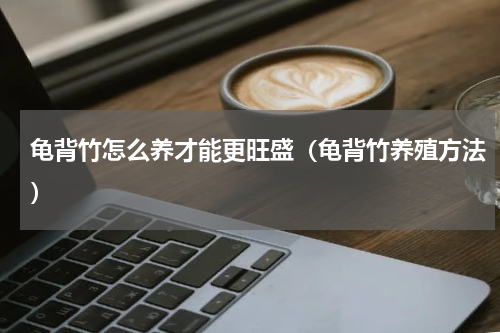 龟背竹怎么养才能更旺盛（龟背竹养殖方法）