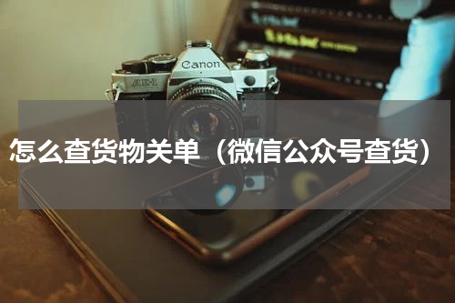怎么查货物关单（微信公众号查货）