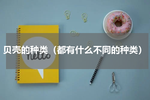 贝壳的种类（都有什么不同的种类）