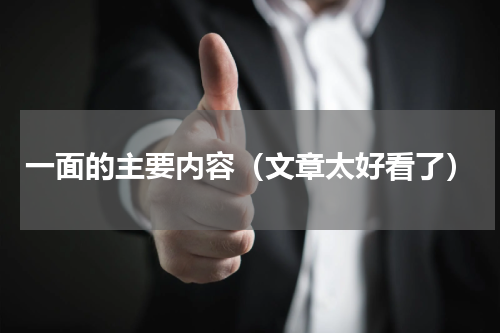 一面的主要内容（文章太好看了）