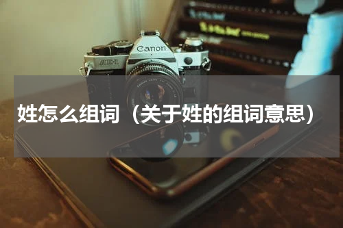 姓怎么组词（关于姓的组词意思）