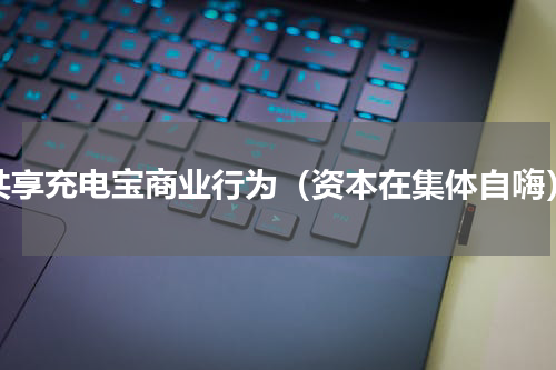 共享充电宝商业行为（资本在集体自嗨）