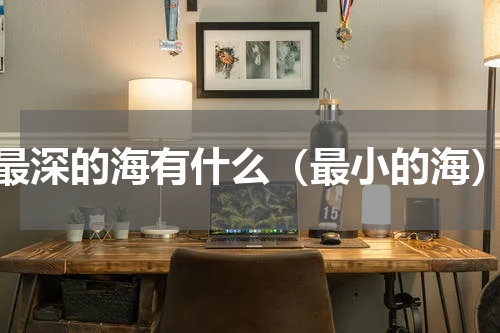 最深的海有什么（最小的海）