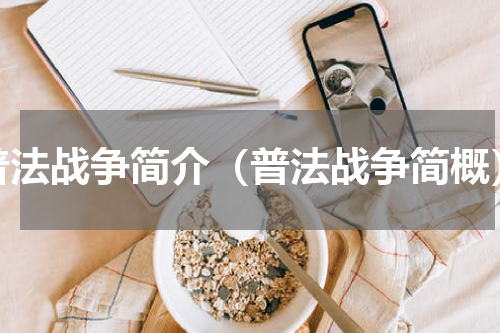 普法战争简介（普法战争简概）