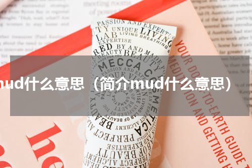 mud什么意思（简介mud什么意思）