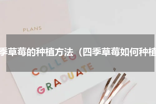 四季草莓的种植方法（四季草莓如何种植）
