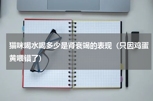 猫咪喝水喝多少是肾衰竭的表现（只因鸡蛋黄喂错了）