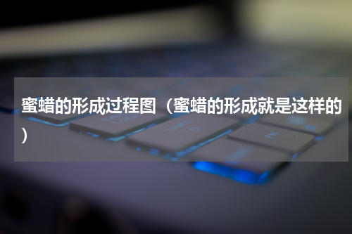 蜜蜡的形成过程图（蜜蜡的形成就是这样的）
